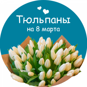 Купить тюльпаны в Яровом